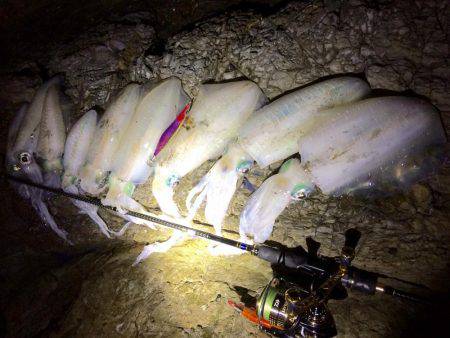 夜中の短時間エギング