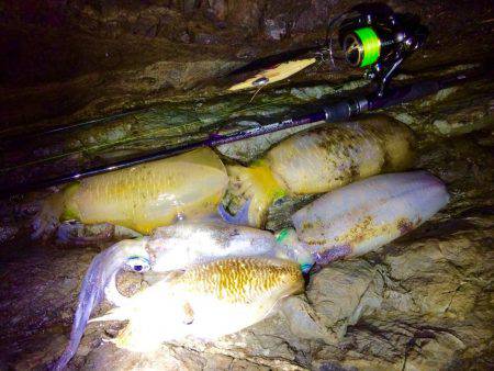 夕マヅメ過ぎからチョロっとエギング！