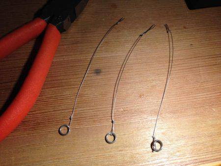 1年ぶりのコウイカ