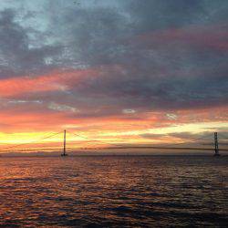 夕マヅメより朝マヅメ釣行