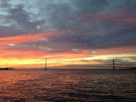 夕マヅメより朝マヅメ釣行