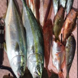 ジギング❗️9目釣り達成‼️