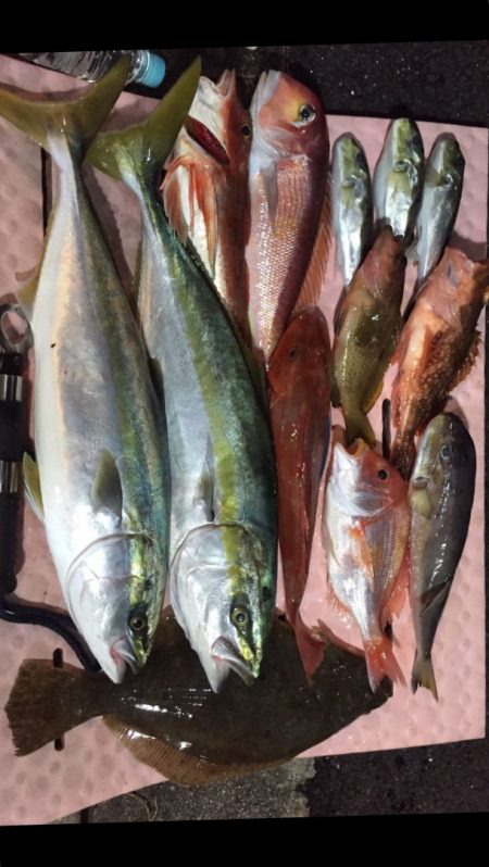 ジギング❗️9目釣り達成‼️