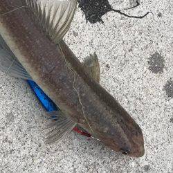 びみょうな１日