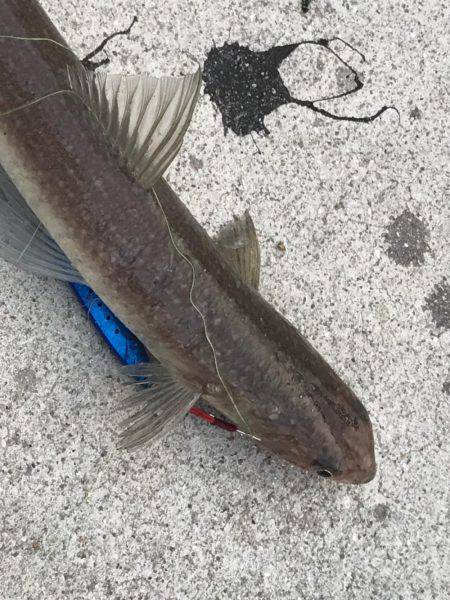 びみょうな１日