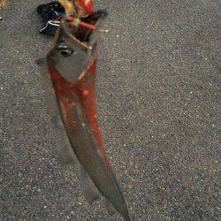 ワインドとフラップで