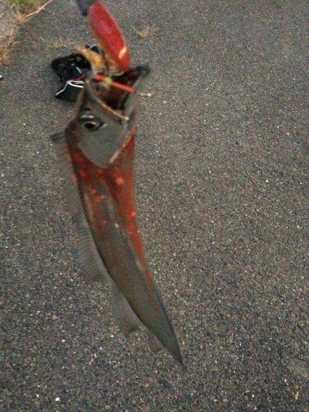 ワインドとフラップで