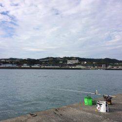 バクチョウパート3