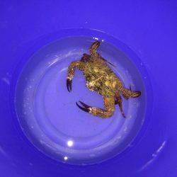 海は最悪のコンディション