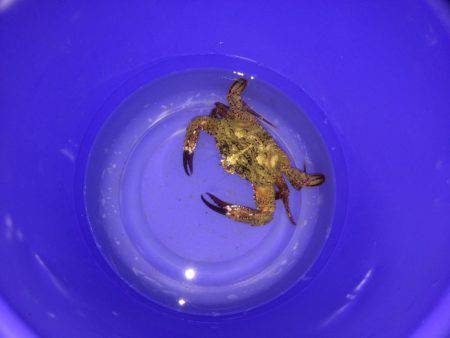 海は最悪のコンディション