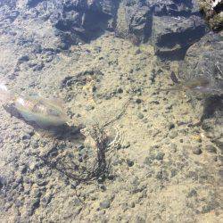 冬の空と風に…