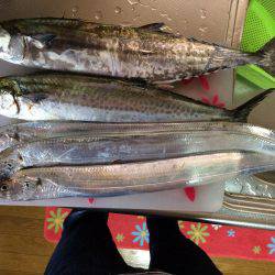 マイポイントで朝練