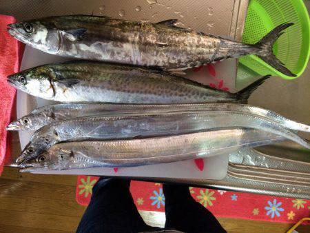 マイポイントで朝練