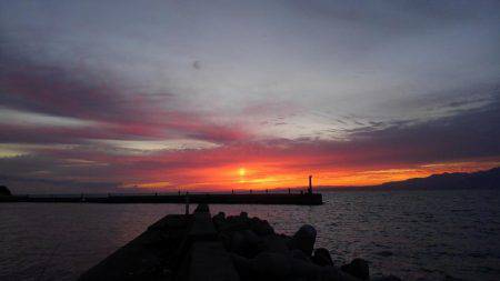 アオリイカ釣れました