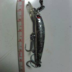 初めての明石一文字