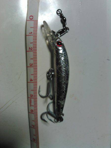 初めての明石一文字