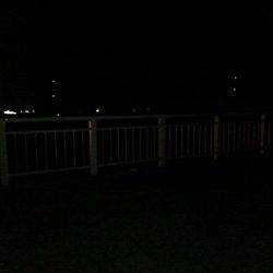 タチウオ遊び♪