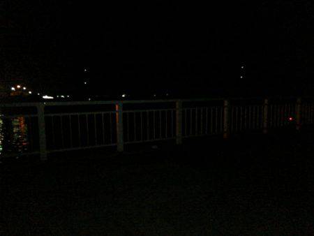 タチウオ遊び♪