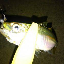 アジングdeタチウオ