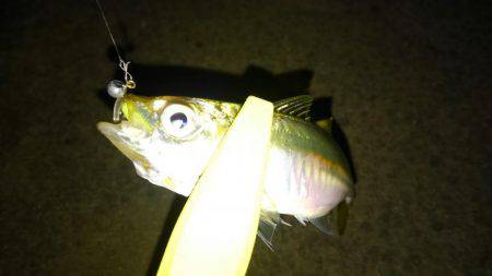 アジングdeタチウオ