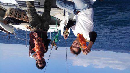 尾鷲錦のジギング＆ティップラン