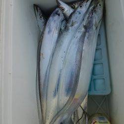 タチウオ二桁達成！