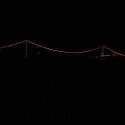 まだタチウオ好調です