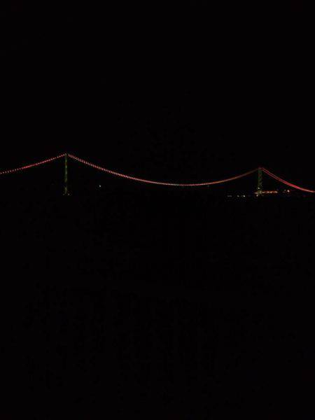 まだタチウオ好調です