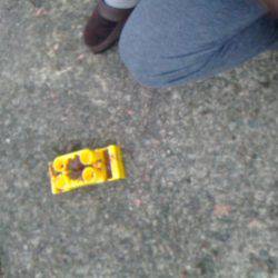 豆アジ~アジ~カマス