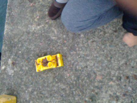 豆アジ~アジ~カマス