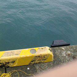 アジアジアジ～