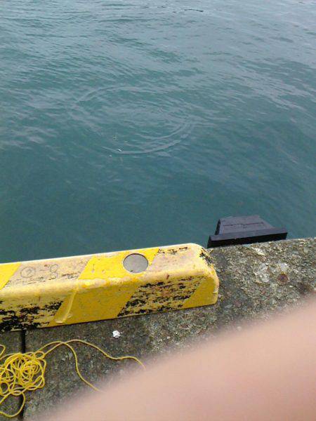 アジアジアジ～