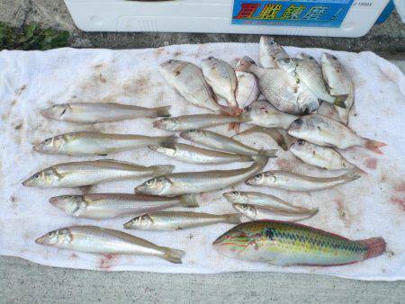 厳しい釣行でした