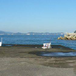 南淡へ落ちギス調査