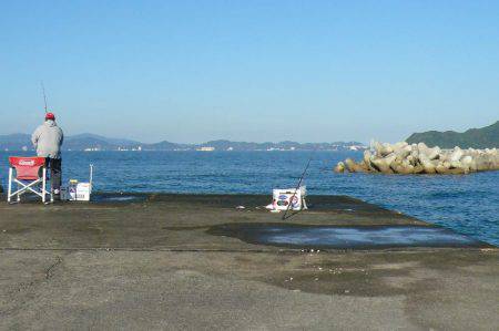 南淡へ落ちギス調査