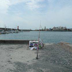 近場の明石港に釣行しました
