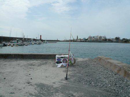 近場の明石港に釣行しました