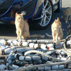 久々に長女と釣行しました