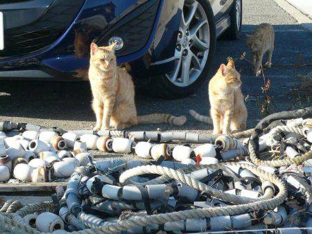 久々に長女と釣行しました