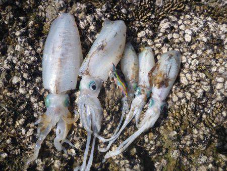 デイエギングでキロアップ♪