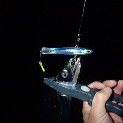 ベビーウエイトルアーｄｅ太刀魚！