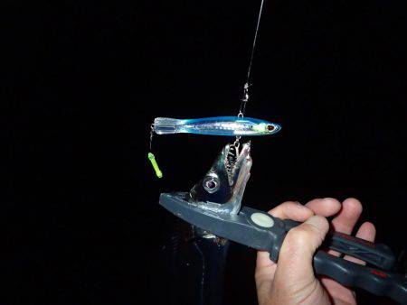 ベビーウエイトルアーｄｅ太刀魚！