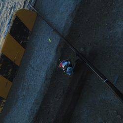 今会は良くアタリも出ました・・・太刀魚・・・