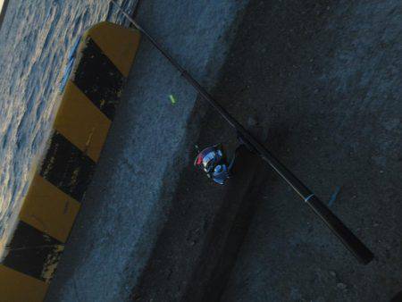 今会は良くアタリも出ました・・・太刀魚・・・