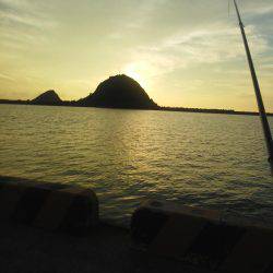 太刀魚ゲット・・・・・