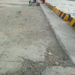 太刀魚も終わり・・