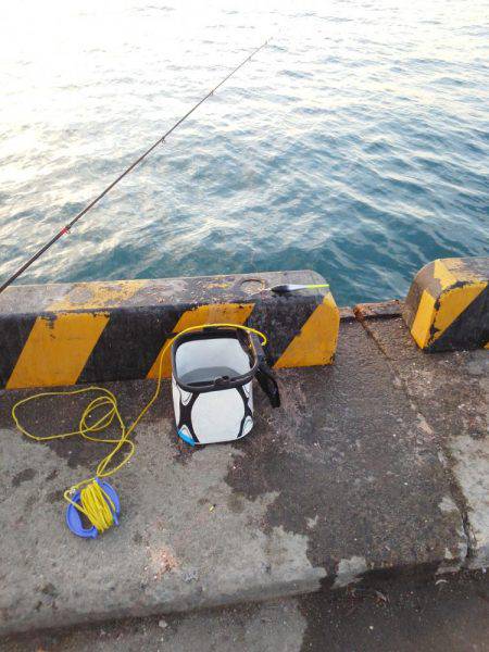 太刀魚も終わり・・pt2