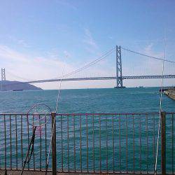 ファミリーフィッシングでサビキ！