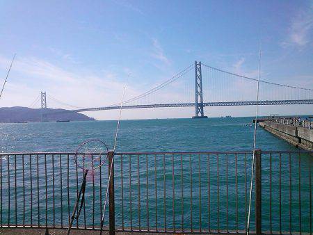 ファミリーフィッシングでサビキ！