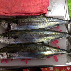 マイポイントで朝練